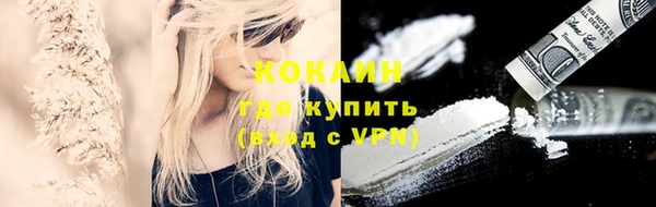 прущие грибы Зерноград